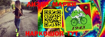 шишки Камышлов