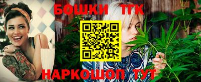 шишки Камышлов