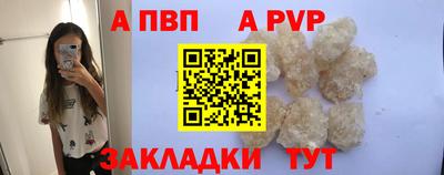 шишки Камышлов